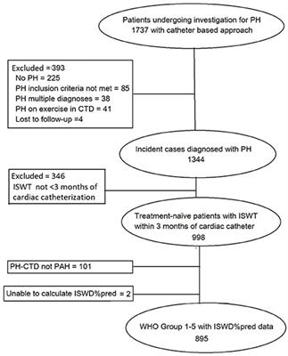 Incremental Shuttle Walking Test Distance Is Reduced in Patients With Pulmonary Hypertension in World Health Organisation Functional Class I